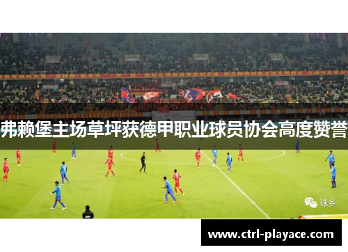 弗赖堡主场草坪获德甲职业球员协会高度赞誉
