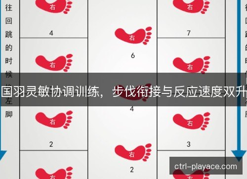 国羽灵敏协调训练,步伐衔接与反应速度双升 国羽灵敏协调训练,步伐衔接与反应速度双升